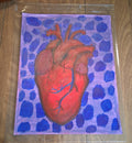 Anatomical Heart